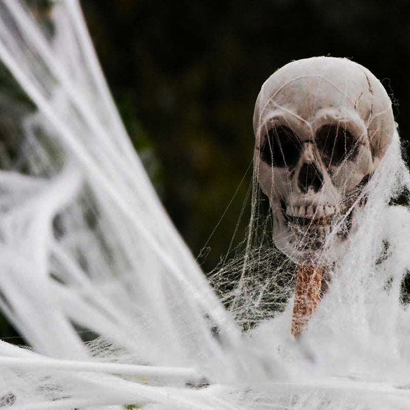 Halloween Spider Web Decoration - Customizable Supply