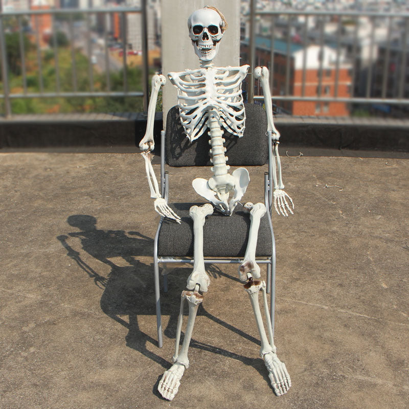 Realistic Skeleton Model