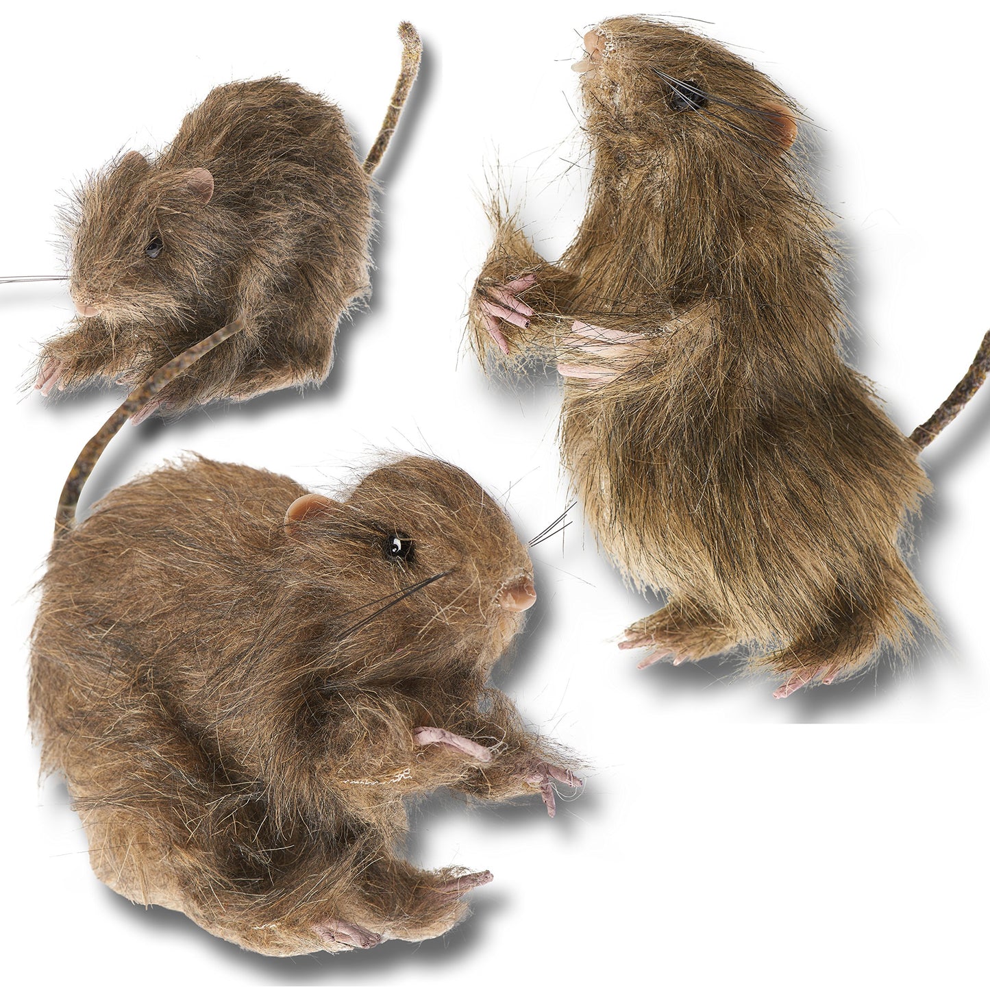 Prextex Realistic Furry Fake Rats for Best Halloween Decoration: Halloween Fake Rats Realistic Rats Halloween Trick Toys Decoration Party Props etc.