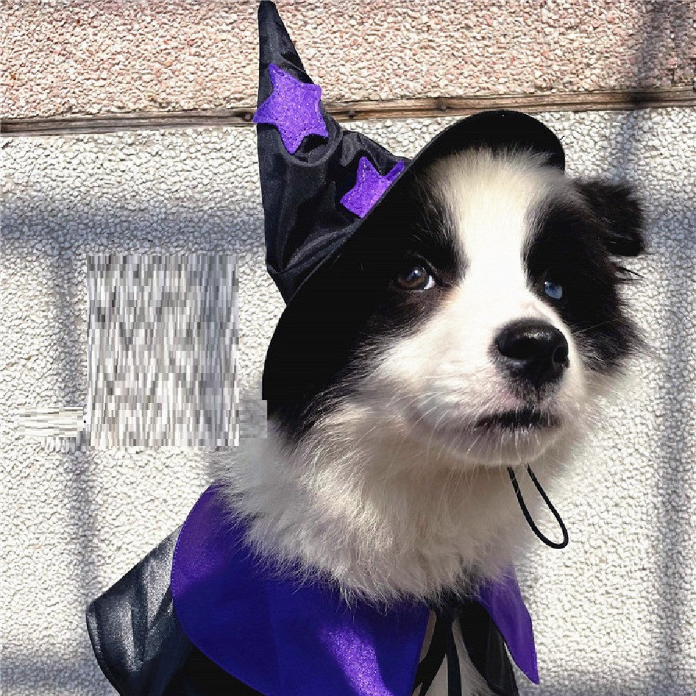 Pet Halloween Wizard Costume Decoration Set