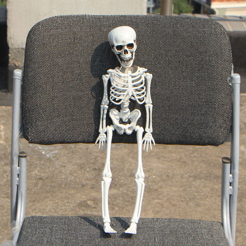 Realistic Skeleton Model