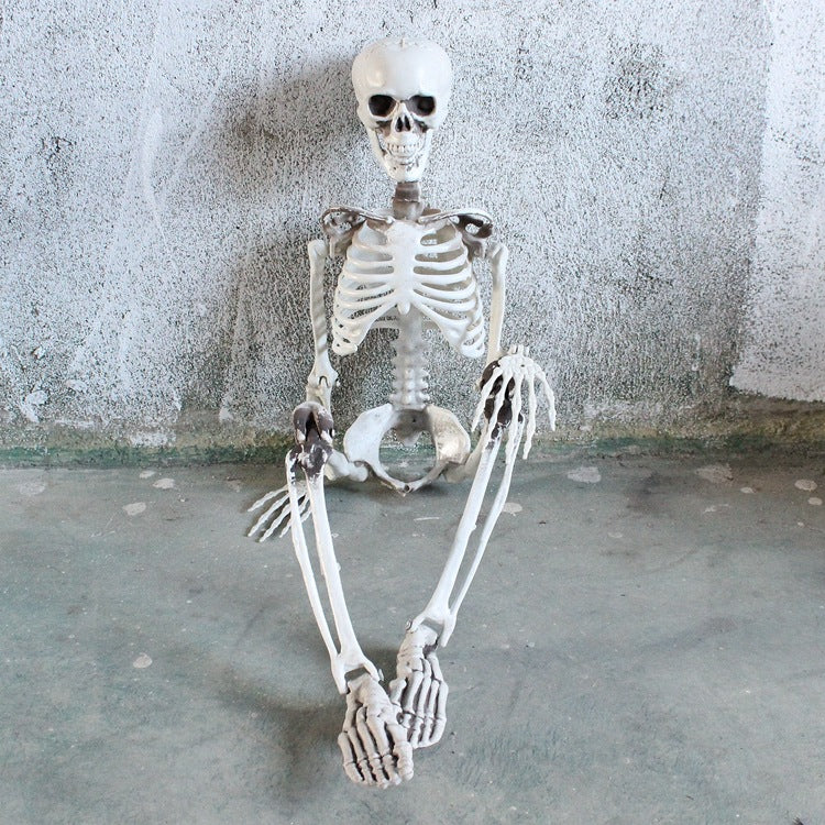 Realistic Skeleton Model